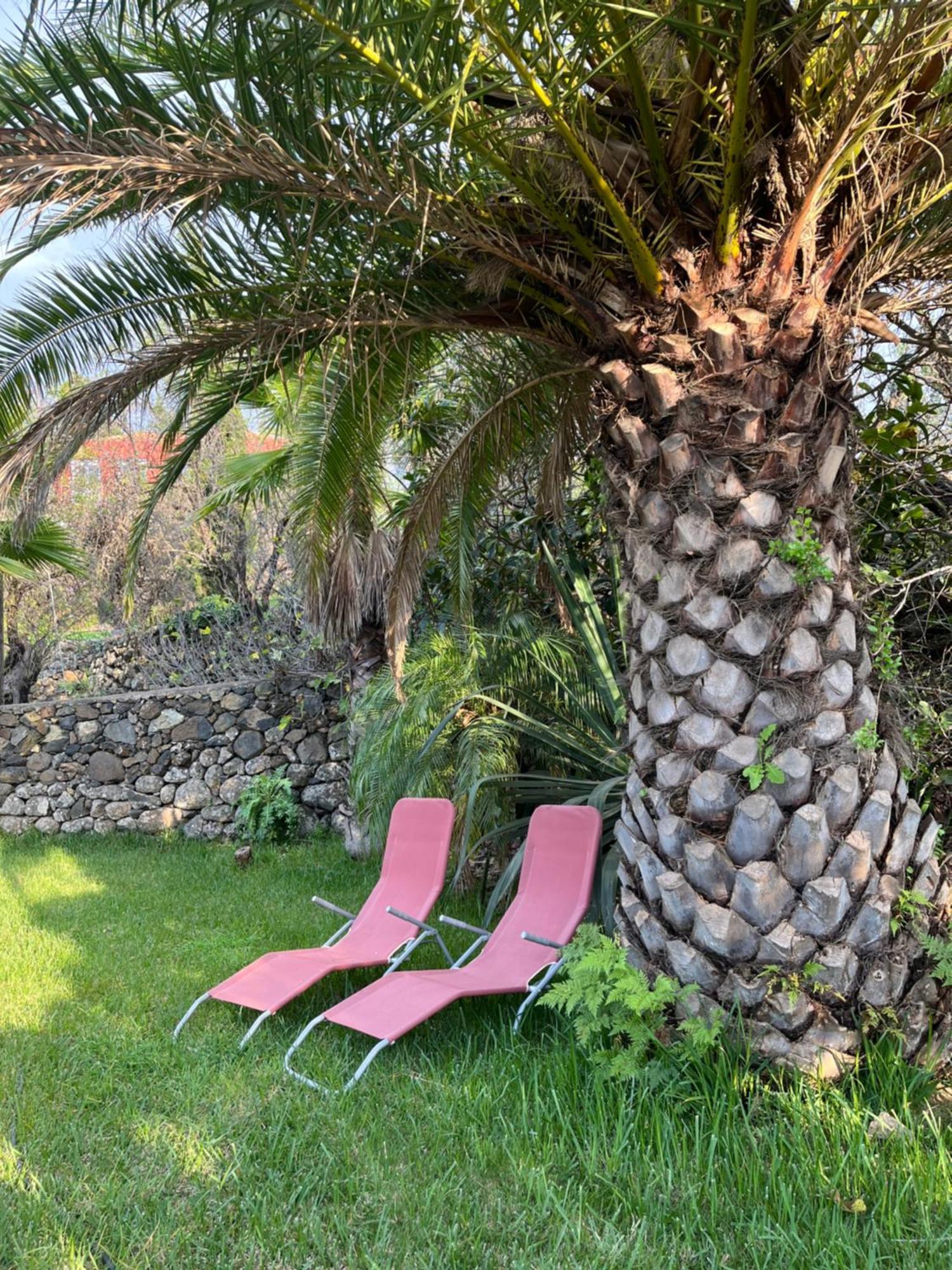 Feriendomizil Finca Tijarafe Mit Beheiztem, Abdeckbarem Pool Exterior foto