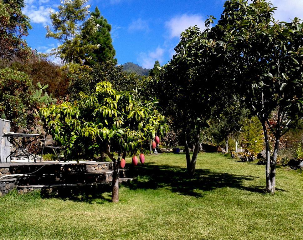 Feriendomizil Finca Tijarafe Mit Beheiztem, Abdeckbarem Pool Quarto foto
